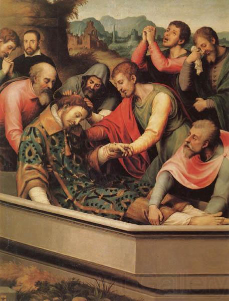 Juan de Juanes The Burial of St.Stephen Norge oil painting art